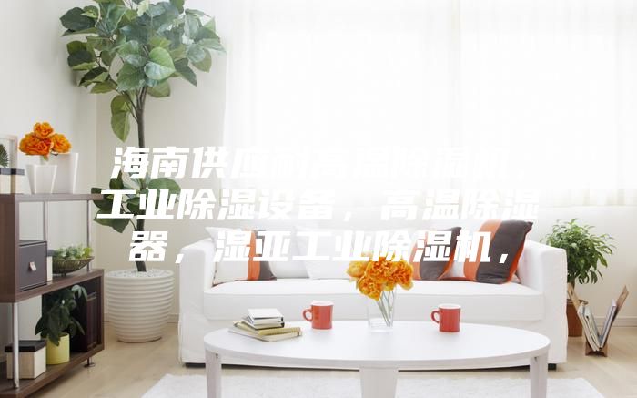 海南供應耐高溫除濕機，工業除濕設備，高溫除濕器，濕亞工業除濕機，