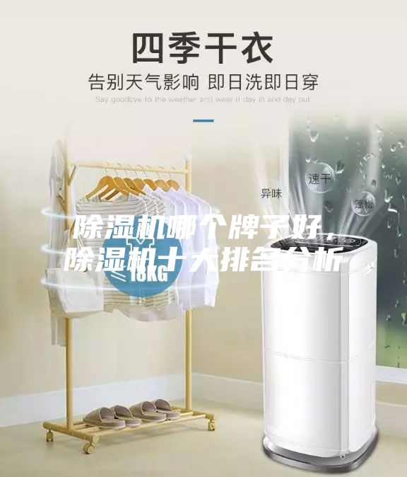 除濕機哪個牌子好，除濕機十大排名分析