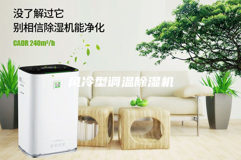 風冷型調(diào)溫除濕機