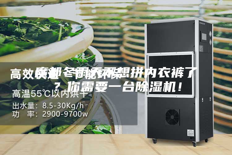 魔都冬雨天不想拼內(nèi)衣褲了？你需要一臺(tái)除濕機(jī)！