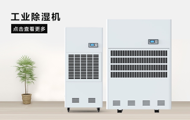 這間熱帶雨林辦公室，不潮濕不下雨還讓員工忘記了在工作