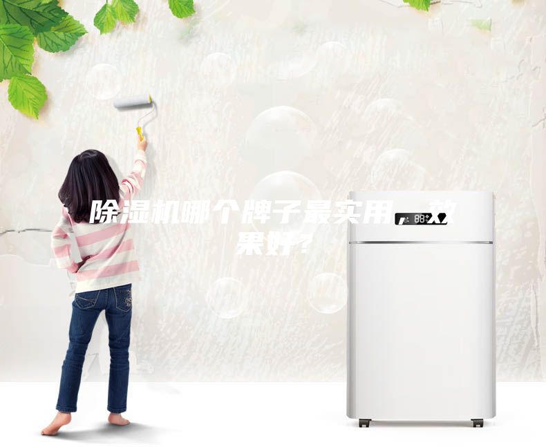 除濕機哪個牌子最實用，效果好？