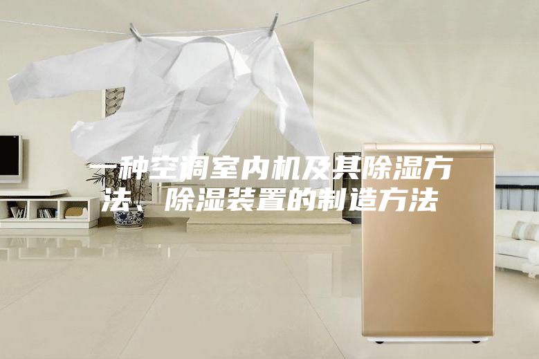 一種空調(diào)室內(nèi)機(jī)及其除濕方法、除濕裝置的制造方法