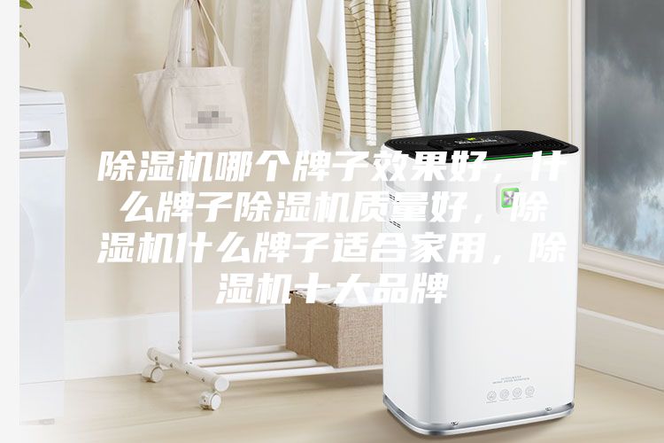 除濕機哪個牌子效果好，什么牌子除濕機質(zhì)量好，除濕機什么牌子適合家用，除濕機十大品牌