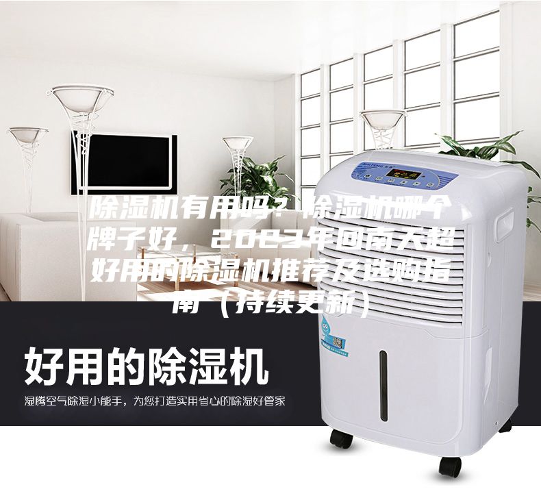 除濕機有用嗎？除濕機哪個牌子好，2023年回南天超好用的除濕機推薦及選購指南（持續更新）