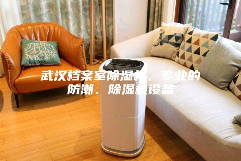 武漢檔案室除濕機，專業的防潮、除濕機設備