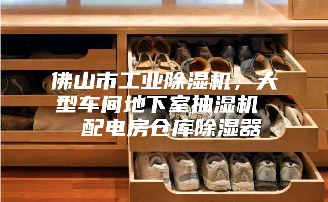 佛山市工業(yè)除濕機(jī)，大型車間地下室抽濕機(jī)  配電房倉庫除濕器