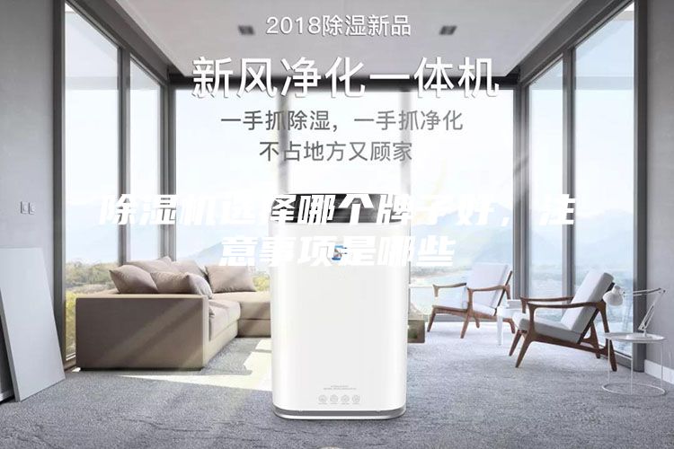 除濕機選擇哪個牌子好，注意事項是哪些
