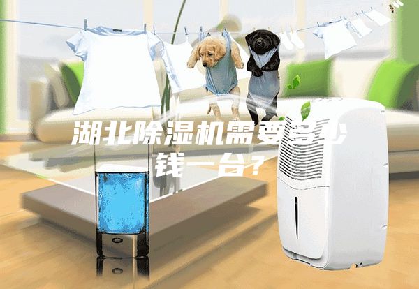 湖北除濕機需要多少錢一臺？