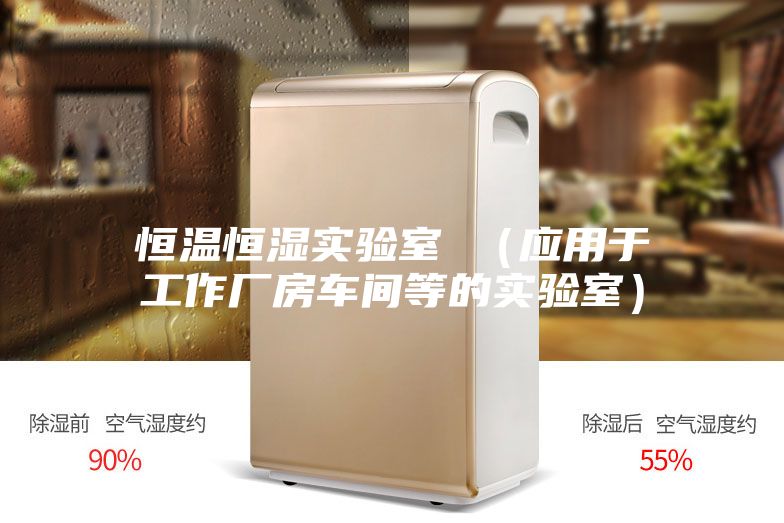 恒溫恒濕實(shí)驗室 （應(yīng)用于工作廠房車間等的實(shí)驗室）