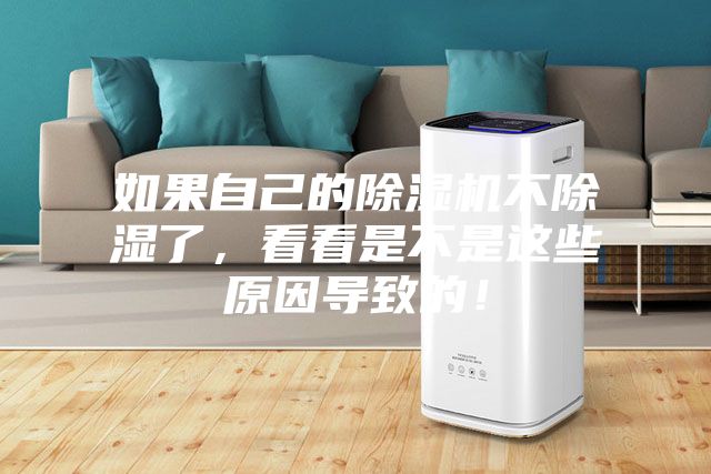 如果自己的除濕機不除濕了，看看是不是這些原因?qū)е碌模?></div>
								<div   id=