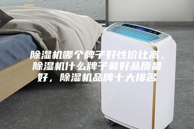 除濕機哪個牌子好性價比高，除濕機什么牌子最好品質(zhì)最好，除濕機品牌十大排名