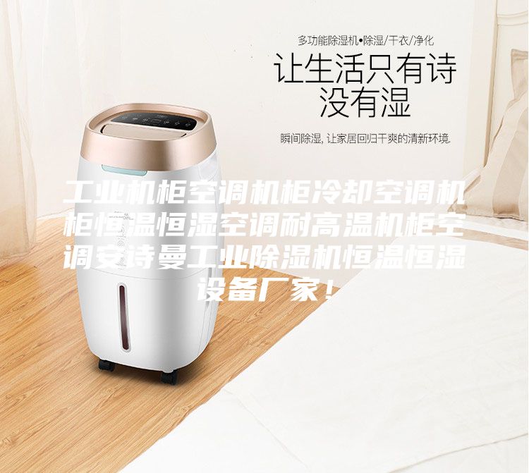 工業(yè)機(jī)柜空調(diào)機(jī)柜冷卻空調(diào)機(jī)柜恒溫恒濕空調(diào)耐高溫機(jī)柜空調(diào)安詩(shī)曼工業(yè)除濕機(jī)恒溫恒濕設(shè)備廠家！