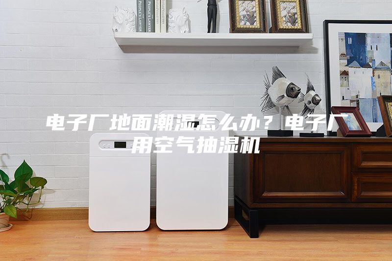 電子廠地面潮濕怎么辦？電子廠用空氣抽濕機(jī)