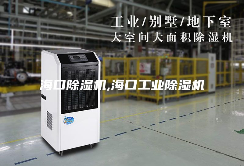 海口除濕機,海口工業(yè)除濕機