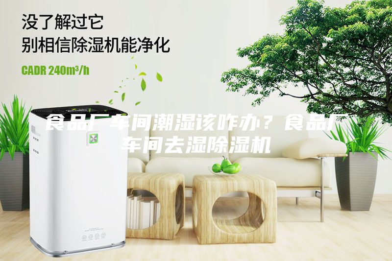食品廠車間潮濕該咋辦？食品廠車間去濕除濕機