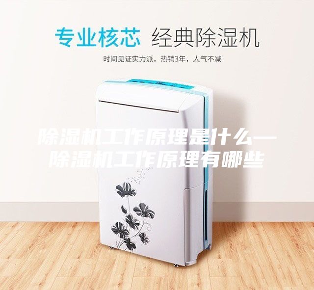 除濕機(jī)工作原理是什么—除濕機(jī)工作原理有哪些