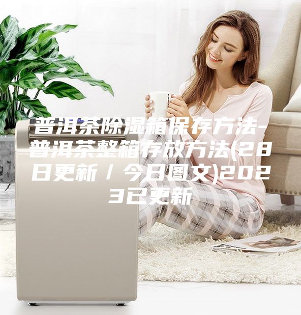 普洱茶除濕箱保存方法-普洱茶整箱存放方法(28日更新／今日?qǐng)D文)2023已更新