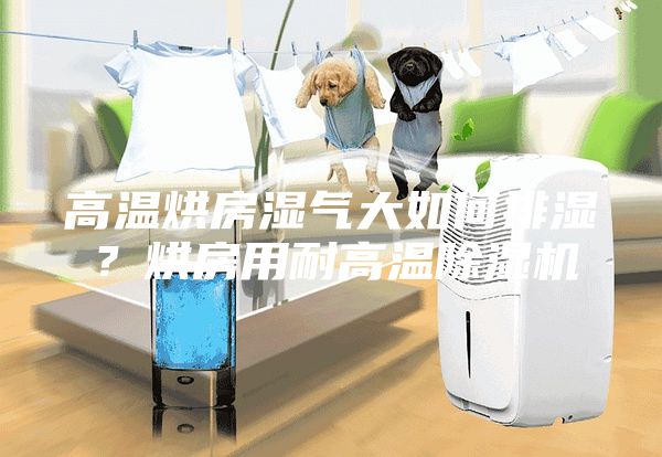 高溫烘房濕氣大如何排濕？烘房用耐高溫除濕機