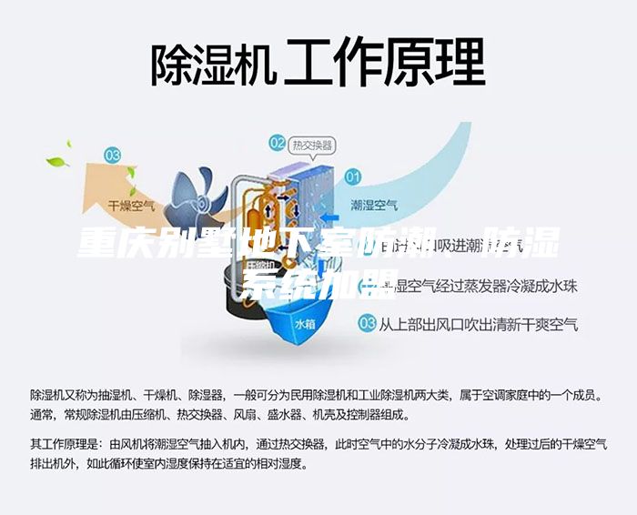 重慶別墅地下室防潮、防濕系統加盟