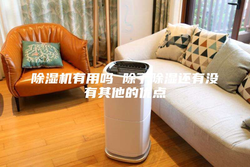 除濕機(jī)有用嗎 除了除濕還有沒(méi)有其他的優(yōu)點(diǎn)