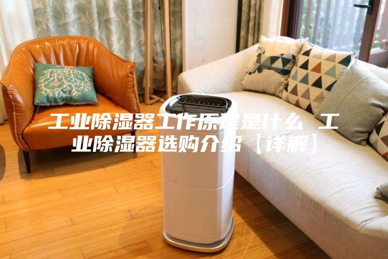 工業(yè)除濕器工作原理是什么 工業(yè)除濕器選購(gòu)介紹【詳解】